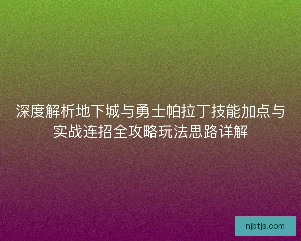 深度解析地下城与勇士帕拉丁技能加点与实战连招全攻略玩法思路详解